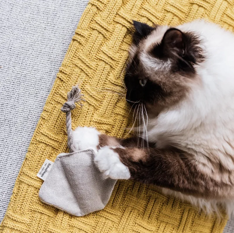 Stingray Cat Toy